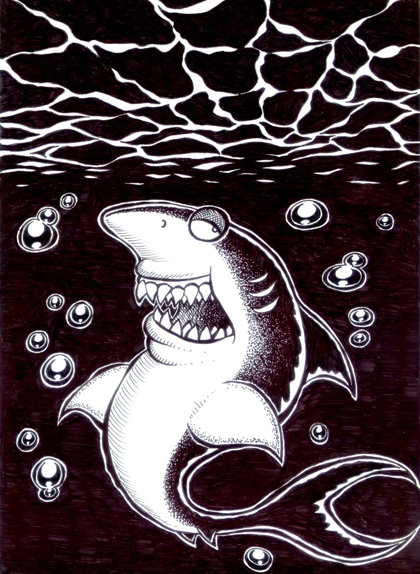 Shark_01