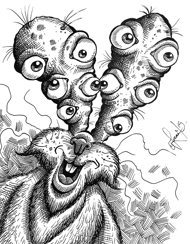 Rabbit Ear Eyes BLOG