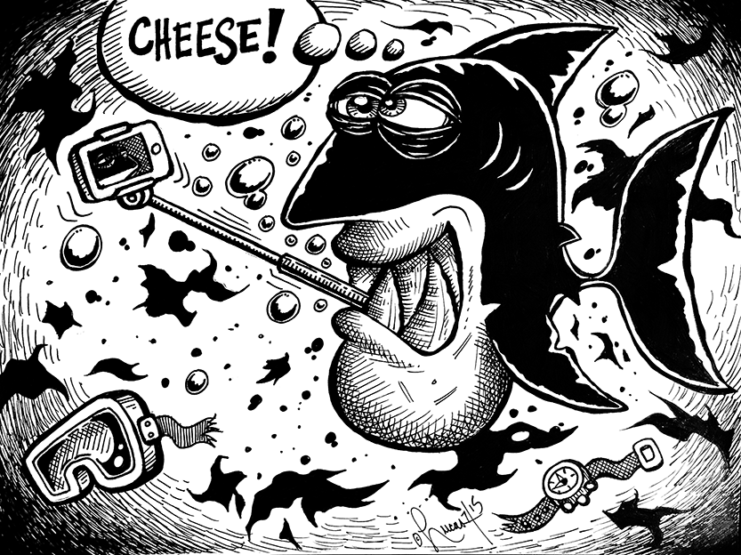 Shark Selfie Stick BLOG